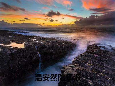 温安然陆年深小说（温安然陆年深）全文免费阅读无弹窗大结局_温安然陆年深小说最新章节列表