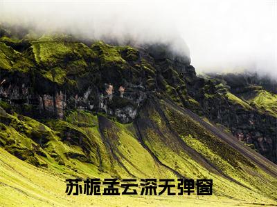 (番外)+(全文)苏栀孟云深：大结局+番外（苏栀孟云深）完结阅读无弹窗大结局_(苏栀孟云深)最新章节列表_笔趣阁（苏栀孟云深：大结局+番外）