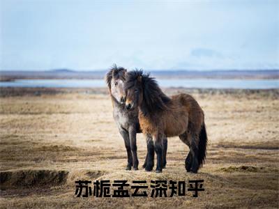 苏栀孟云深（苏栀孟云深全文）+后续全本完整_（苏栀孟云深）苏栀孟云深全文+后续+结局在线阅读笔趣阁（苏栀孟云深全文）