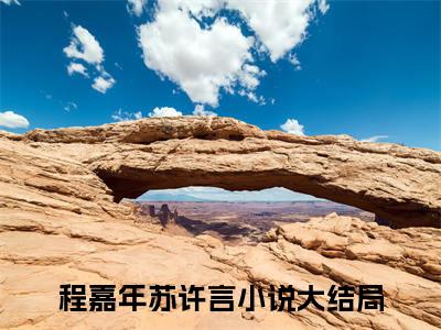 时光尽头不见你（程嘉年苏许言）全文免费阅读无弹窗大结局_（时光尽头不见你）最新章节列表_笔趣阁（程嘉年苏许言）