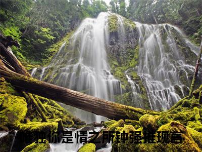 唯独你是情之所钟小说(唯独你是情之所钟)（沈霁宁林清颜）完整章节列表_笔趣阁