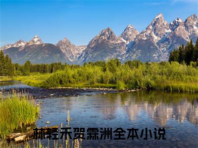 全网首发林轻禾贺霖洲小说叫什么(爱意随风止)（林轻禾贺霖洲）全书阅读纯净阅读