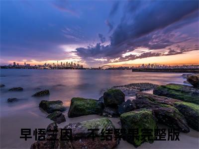 早悟兰因，不结絮果叫什么(常颂阮秋池)小说全集阅读无广告（常颂阮秋池）番外+续集