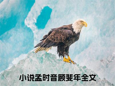 孟时音顾斐年小说(鬼王大人她马甲捂不住了)（孟时音顾斐年）在线畅读阅读连载中