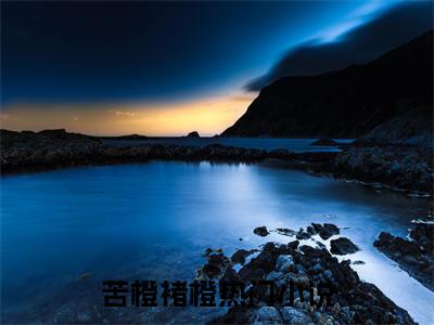 苦橙褚橙小说免费阅读（苦橙褚橙）全文免费阅读无弹窗大结局_苦橙褚橙小说免费阅读最新章节列表_笔趣阁（苦橙褚橙）
