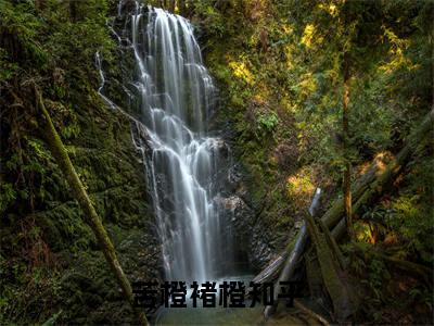 苦橙褚橙(苦橙褚橙)+免费下载阅读_苦橙褚橙(苦橙褚橙小说全文无弹窗)完整版最新阅读（苦橙褚橙）