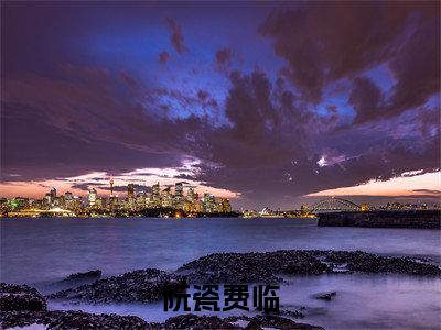 明日终如昼：结局+番外免费品鉴阮瓷费临后续一口气无广告全书章节表