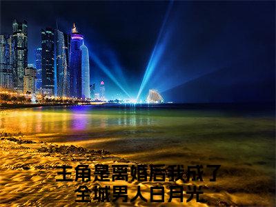 （黎心蔓江聿琛）离婚后我成了全城男人白月光最终篇章章节在线无广告高口碑小说