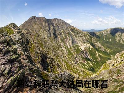 薄宴辞裴梨(醉酒吻！咬喉结！野欲薄总馋疯了)整本+后续+（薄宴辞裴梨）结局在线阅读