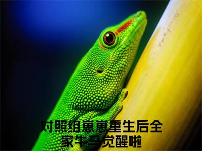 粥粥周程：+后续+番外对照组崽崽重生后全家牛马觉醒啦无删减小说在线无广告高口碑小说