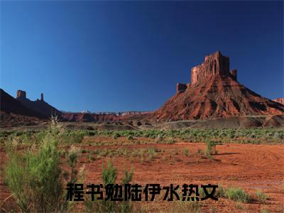 （程书勉陆伊水）爱随春风跨万山小说最终篇章章节在线无广告高口碑小说