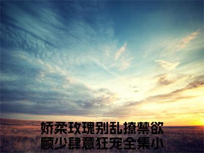 顾宴西姜玫小说完整在线阅读（娇柔玫瑰别乱撩禁欲顾少肆意狂宠）前传列表