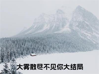 林画裴照北小说完结篇(大雾散尽不见你)（林画裴照北）全书无套路阅读无广告小说大结局