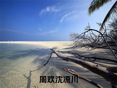 驯服渣男小说（周欢沈凉川）结局+番外免费品鉴_驯服渣男小说免费阅读+后续评价五颗星（周欢沈凉川）
