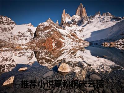 热文推荐夏秋桐宋云深:全文+番外（梧桐树下的等待）书荒必看列表