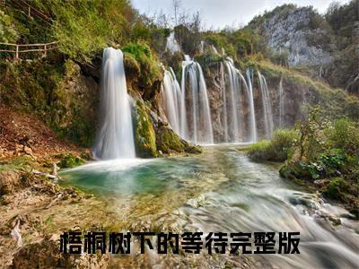 夏秋桐宋云深小说全篇完整在线阅读（梧桐树下的等待）热门章节列表