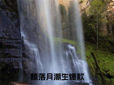 沈少谨温竹棠：全文+后续（鲸落月潮生）终章阅读全文无删减_沈少谨温竹棠：全文+后续全文免费阅读无弹窗大结局（鲸落月潮生）