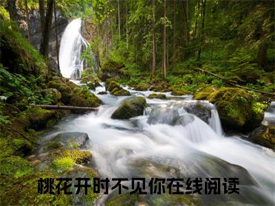林栖穆落行桃花开时不见你电子书+番外篇章+（桃花开时不见你）免费版在线阅读