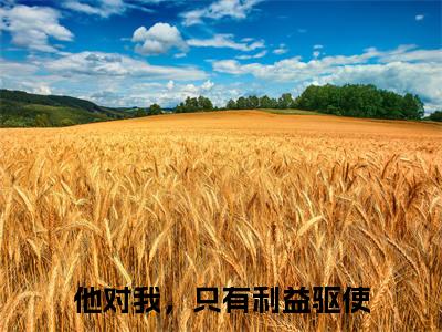 他对我，只有利益驱使（他对我，只有利益驱使）全文免费阅读无弹窗_沈卿欢谢临渊小说在线阅读_笔趣阁