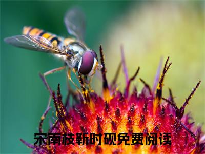 宋南枝靳时砚（宋南枝靳时砚）全文免费阅读无弹窗大结局_宋南枝靳时砚全文免费阅读最新章节列表