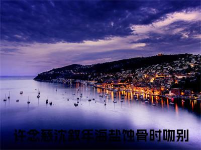 许念慈沈叙年小说全文免费阅读无弹窗大结局_（许念慈沈叙年全文免费阅读）海盐蚀骨时吻别最新章节列表笔趣阁