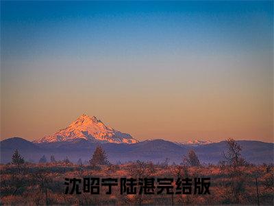 沈昭宁陆湛（贬妻为奴？我撕毁婚书不伺候了）全文免费阅读无弹窗大结局_（贬妻为奴？我撕毁婚书不伺候了）全文最新章节列表