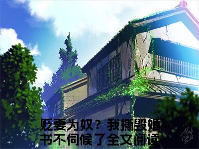 沈昭宁陆湛贬妻为奴？我撕毁婚书不伺候了小说完本+番外（贬妻为奴？我撕毁婚书不伺候了）畅享阅读
