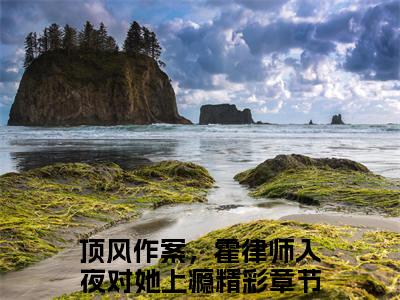 霍景泽林音（顶风作案，霍律师入夜对她上瘾）小说全文免费读无弹窗大结局_霍景泽林音小说全文免费阅读