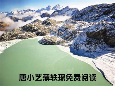 （唐小艺薄轶琛）唐小艺薄轶琛小说(天降萌宝：总裁爹地撩上瘾)整书在线无广告高口碑小说