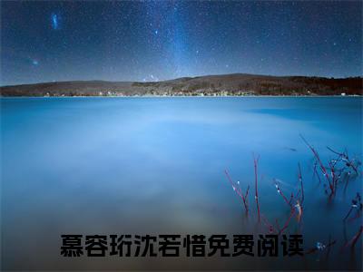 独宠外室？我入东宫转嫁病弱太子慕容珩沈若惜终章（慕容珩沈若惜）完整章节列表_笔趣阁