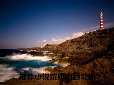 沈昕冉顾北斯：结局+番外（沈昕冉顾北斯归国后她只想搞科研：结局+番外）完结阅读无弹窗大结局_(归国后她只想搞科研)最新章节列表_笔趣阁（沈昕冉顾北斯：结局+番外）