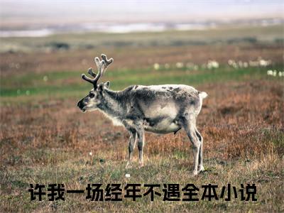 许我一场经年不遇顾汐姜聿珩：全文+后续（许我一场经年不遇）全文免费阅读无弹窗大结局_(许我一场经年不遇顾汐姜聿珩：全文+后续后续大结局)许我一场经年不遇最新章节列表_笔趣阁（许我一场经年不遇顾汐姜聿珩：全文+后续）