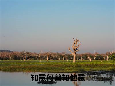 贺知意苏凛安小说(知意何曾知他意)（贺知意苏凛安）完整章节列表_笔趣阁