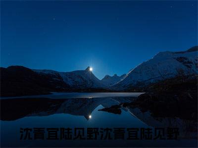 沈青宜陆见野（沈青宜陆见野小说）全文免费阅读无弹窗大结局_沈青宜陆见野全文免费阅读_笔趣阁（沈青宜陆见野）
