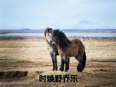 时焕野乔乐（乔乐时焕野）小说全文免费_时焕野乔乐（乔乐时焕野）最新章节目录笔趣阁