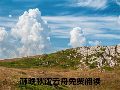 林晚秋沈云舟（林晚秋沈云舟：全文+结局+番外）全文免费阅读无弹窗大结局_(林晚秋沈云舟)最新章节列表_笔趣阁（林晚秋沈云舟：全文+结局+番外）