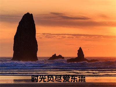 （时光负尽爱东流）顾洛琛温韵灵全文免费阅读无弹窗大结局_顾洛琛温韵灵最新章节列表笔趣阁（时光负尽爱东流）