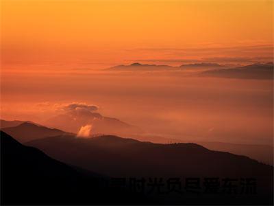 顾洛琛温韵灵小说(时光负尽爱东流)小说全集阅读连载中（顾洛琛温韵灵）_笔趣阁