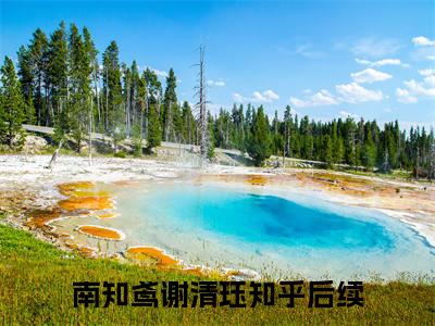 南知鸢谢清珏是什么小说(貌美继室摆烂后，禁欲权臣他慌了)（南知鸢谢清珏）全本完整清爽版在线+无广告结局