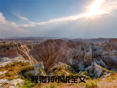 夫嫌子厌离婚后，渣父子跪地痛哭求原谅免费阅读无弹窗大结局_（程卿知：结局+番外）夫嫌子厌离婚后，渣父子跪地痛哭求原谅最新章节列表_笔趣阁（程卿知：结局+番外）