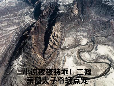 温夕谢庭臣小说全文免费阅读无弹窗大结局_夜夜装乖！二嫁京圈太子爷轻点宠最新章节列表_笔趣阁