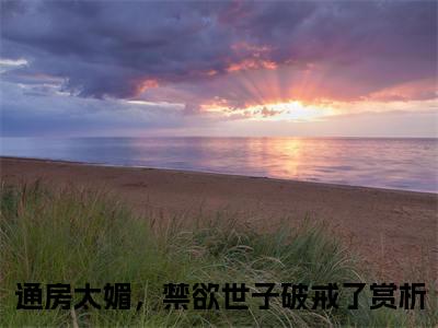 徐慕兮谢瑨（通房太媚，禁欲世子破戒了）全文免费阅读无弹窗大结局_（通房太媚，禁欲世子破戒了）全文阅读_笔趣阁（徐慕兮谢瑨）