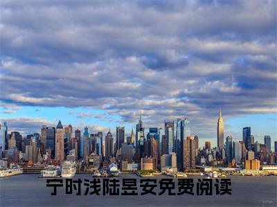 (番外)+(全文)宁时浅陆昱安：结局+番外+完结小说免费阅读下载阅读_(惨死重生后，我为绝嗣大佬生三胎)宁时浅陆昱安：结局+番外+完结小说免费阅读最新章节列表_笔趣阁（惨死重生后，我为绝嗣大佬生三胎）
