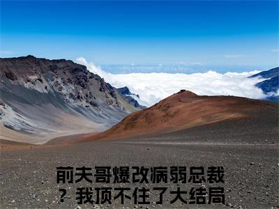 宋清野顾辞：结局+番外(前夫哥爆改病弱总裁？我顶不住了)全文前夫哥爆改病弱总裁？我顶不住了阅读无弹窗结局_前夫哥爆改病弱总裁？我顶不住了+结局最新章节列表_笔趣阁（宋清野顾辞：结局+番外）