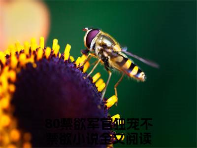 (番外)+(全文)宋晚晴谢墨渊：结局+番外+完结小说免费阅读下载阅读_(80禁欲军官独宠不禁欲)宋晚晴谢墨渊：结局+番外+完结小说免费阅读最新章节列表_笔趣阁（80禁欲军官独宠不禁欲）