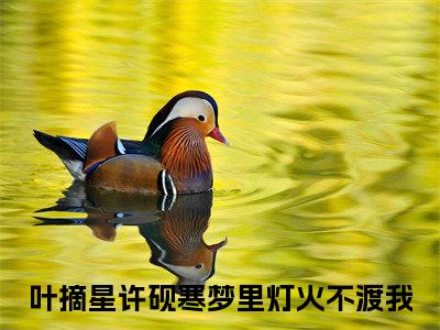 梦里灯火不渡我（叶摘星许砚寒）免费全文阅读小说_（梦里灯火不渡我）叶摘星许砚寒最新章节列表