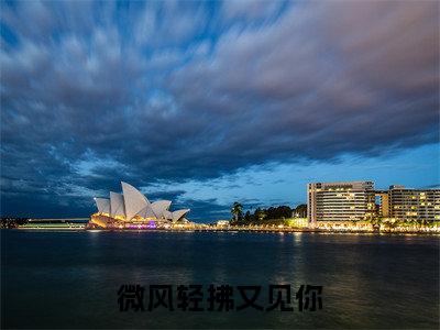 （林书意陆沉：微风轻拂又见你）全文免费阅读已完结无弹窗（微风轻拂又见你林书意陆沉：结局+番外）最新章节列表_笔趣阁