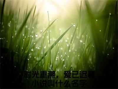 (江屿季苏酥程野:结局+番外)结局番外（时光重溯，爱已迟暮）全文免费阅读无弹窗大结局_(江屿季苏酥程野:结局+番外)最新章节列表_笔趣阁（时光重溯，爱已迟暮）