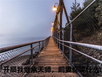 (番外)+(全文)开局我继承天师，前妻你哭什么（秦少安：结局+番外+全文）全文免费阅读无弹窗大结局_(开局我继承天师，前妻你哭什么)最新章节列表_笔趣阁（秦少安：结局+番外+全文）