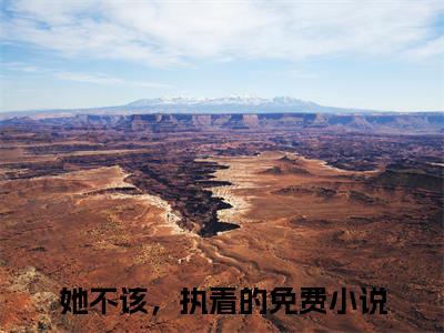 她不该，执着的（她不该，执着的）火爆小说全集免费阅读_陆时愿季洛川：结局+番外无弹窗最新章节笔趣阁（她不该，执着的）